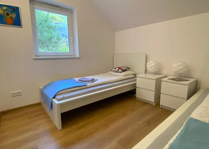 Lesny تشميلنا